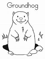 Groundhog Coloring Pages Printable Preschool Kids Sheets Print Twistynoodle Color Groundhogs Outline Tracing Ground Sheet Hog Template Search Crafts Puppet sketch template