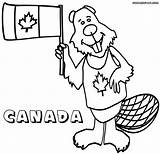 Canadian Flag Coloring Pages Colorings sketch template