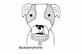 Coloring Pages Homies Little Gangster Template sketch template