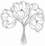 Flower Flowers Drawing Outline Embroidery Stamps Digital Hand Tulips Patterns Draw Coloring Carnation Print Drawings Pages Vintage Digi Getdrawings Clip sketch template