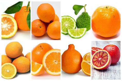 florida style orange juice difference  juice images