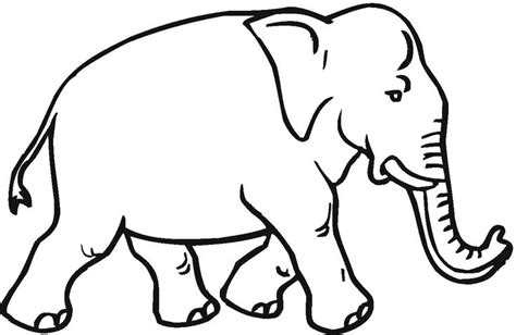 elephant coloring pages elephant coloring page elephant drawing