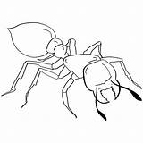 Ant Coloring Pages Bullet Drawing Colouring Bee Line Sheet Print Coloringbay Getdrawings Cattle sketch template