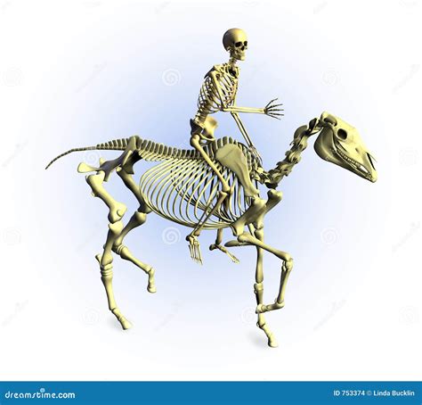 skeletons riding  clipping path stock images image