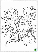 Dinokids Coloring Rabbit Close Pages sketch template