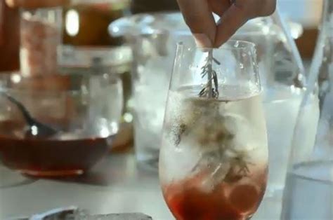 gin tônica de cereja receitas