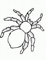 Coloring Spider Pages Anansi Popular sketch template