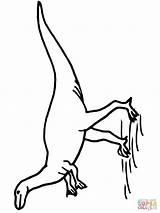 Coloring Hypsilophodon Dinosaur Cretaceous Period Ornithopod Pages Color Dinosaurs Version Supercoloring Printable sketch template