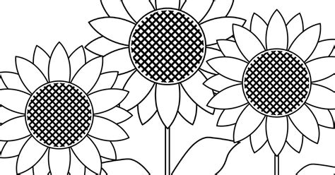printable sunflower garden coloring page mama likes