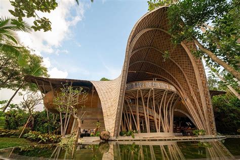 bamboo architectural designs  prove   material   future  modern sustainable