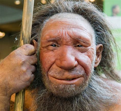 did we eat the neanderthals dramatic new theory claims we may have