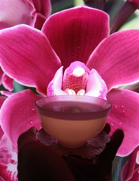 Honey Orchid Mi Lan Xiang Dan Cong Oolong Tea
