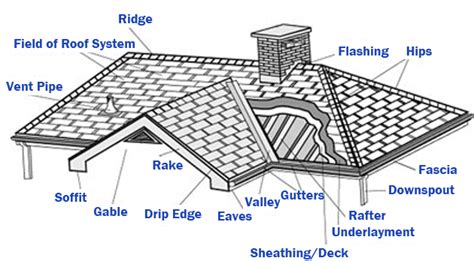 roofing parts structures basic elements   extensive green roof copyright  christopher