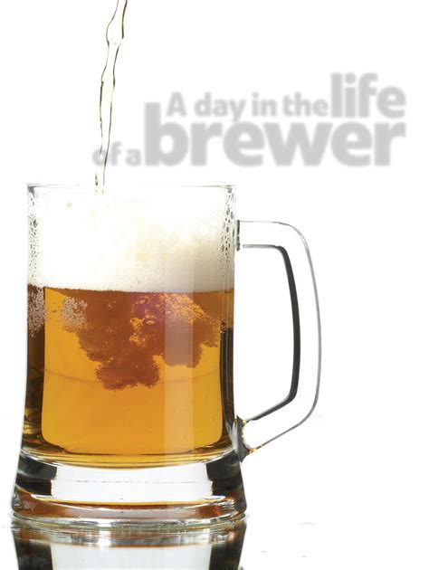 day   life   brewer beers   world magazine