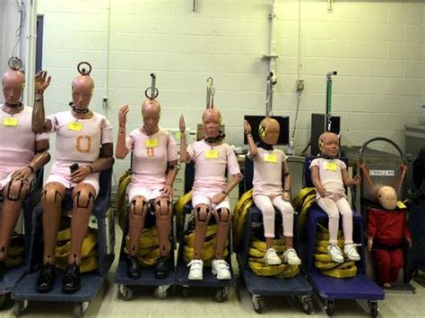 Like Drivers Crash Test Dummies Are Becoming Obese