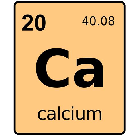 calcium facts  kids students  teachers