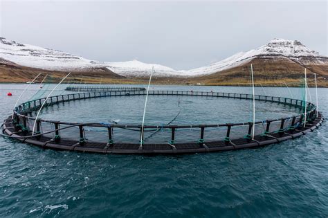 aquaculturists  vonin case study tough environment