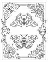 Prendre Envol Butterfly Tsgos Butterflies sketch template