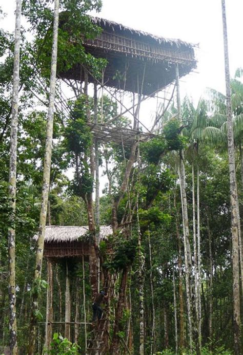 korowai kombai treehouse outdoor structures outdoor decor woodland