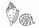 Coloring Pages Seashell Seashells Conch Kids Getcolorings Cool2bkids Print Printable sketch template