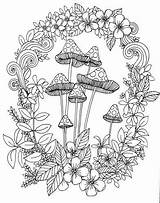 Mushrooms Colouring Toadstools Doodle sketch template