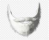 Beard Goatee Pngitem sketch template