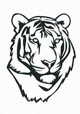 Tiger Outline Clip Cute Coloring Clipart Clipartbest sketch template
