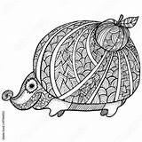 Zentangle Coloring Hedgehog Adult Stress Stylized Anti Contents Comp Similar Search sketch template