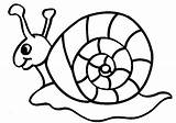 Snail Coloring Printable Kids Pages Sheet Snails Para Escargot Coloriage Animal Caracol Dessin Ausmalen Colorear sketch template