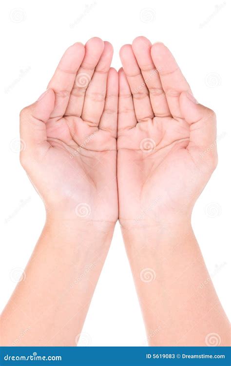 hands position stock image image  receive pair offer