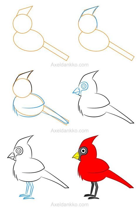 pin  birds