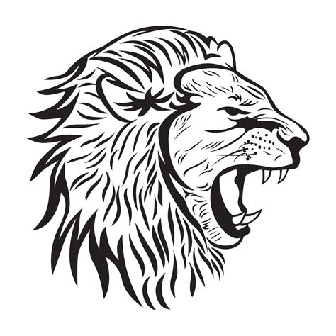 croquis  dessin de tete de lion male  art vectoriel chez vecteezy