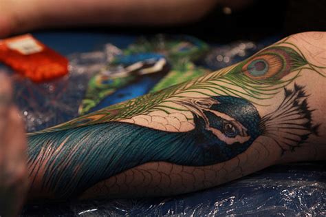 gips peacock feather tattoo