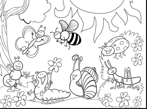 coloring pages  bugs  insects bug coloring pages butterfly