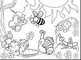 Insect Bug sketch template