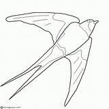 Hirondelle Coloriage Swallow Oiseaux Aves Oiseau Primavera Printemps Imprimir Coloriages Golondrina Colorier Albumdecoloriages sketch template