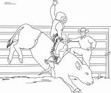 Bull Coloring Riding Pages Printable Bucking Color Print Pbr Cowboy Miniature Bulls Drawing Sheets Kids Books Popular Click Size Coloringhome sketch template