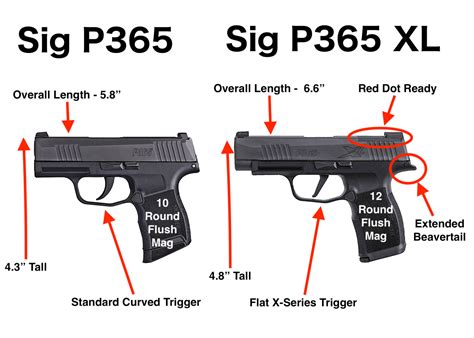 sig p      concealed carry gun  pictures