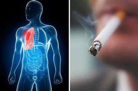effects  smoking  body     quit cigarettes