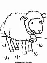 Mouton Moutons Coloriages Colorier Ferme Maternelle Extraordinaire sketch template