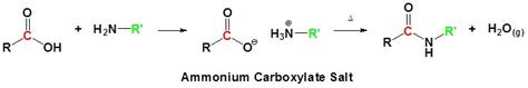 making amides  carboxylic acids chemistry libretexts