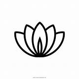 Lotus Flor Loto Icon Fiore Colorear Blume Icons Ultra Stylized Ultracoloringpages Stampare çiçekler sketch template