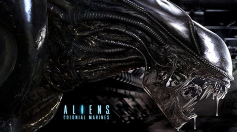51 aliens colonial marines hd wallpapers backgrounds wallpaper abyss