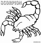 Coloring Scorpion Pages Color Scorpions Animal Popular sketch template