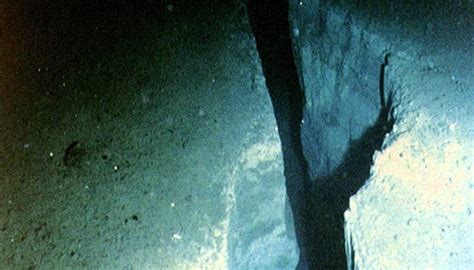 here are some recordings from the very bottom of the ocean