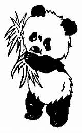 Panda Coloring Pages Baby Cute Kids Pandas Clipart Clipartbest Amazing Gif Websites Presentations Reports Powerpoint Projects Use These Red sketch template