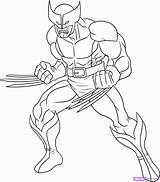 Coloring Wolverine Pages Popular sketch template