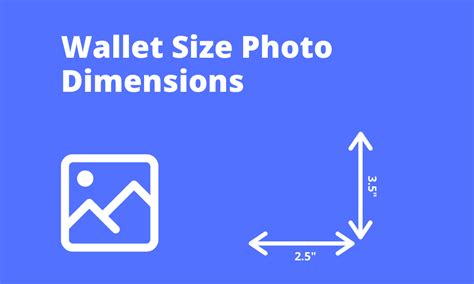 wallet size photo dimensions