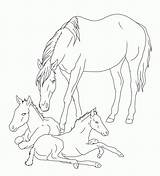 Coloring Horse Pages Realistic Mare Foals Foal Drawing Horses Print Lineart Baby Sketch Twin Deviantart Printable Drawings Rocks Colouring Clipart sketch template