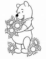 Sunflower Coloring Pages Sunflowers Color Kids Pooh Printable Drawing Winnie Sheets Clipart Google Colouring Books Flower Sheet Flowers Disney Cliparts sketch template